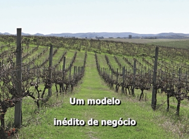 Um modelo  inédito de negócio